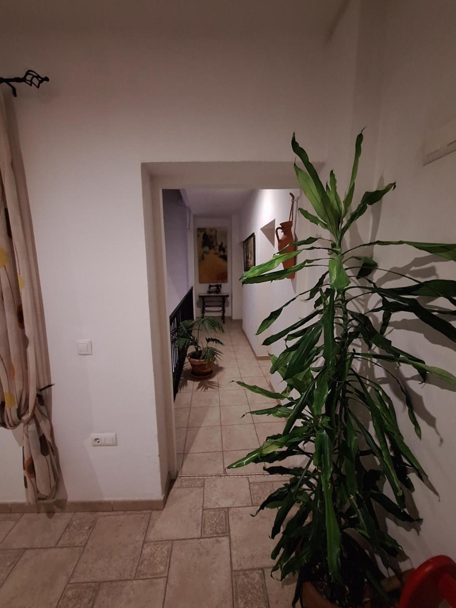 Hostal Fenix Jerez de la Frontera Exterior foto